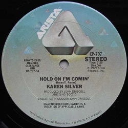 Karen Silver - Hold On I'm Comin', 12"
