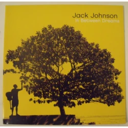 Jack Johnson - In Between Dreams, LP