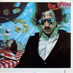 Joe Walsh - "But Seriously, Folks...", LP