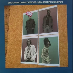 The Brand New Heavies - You Are The Universe, 12"