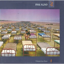 Pink Floyd - A Momentary Lapse Of Reason, LP