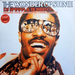 DJ Spinna & Bobbito - The Wonder Of Stevie (Essential Stevie Compositions, Covers & Cookies), 2xLP